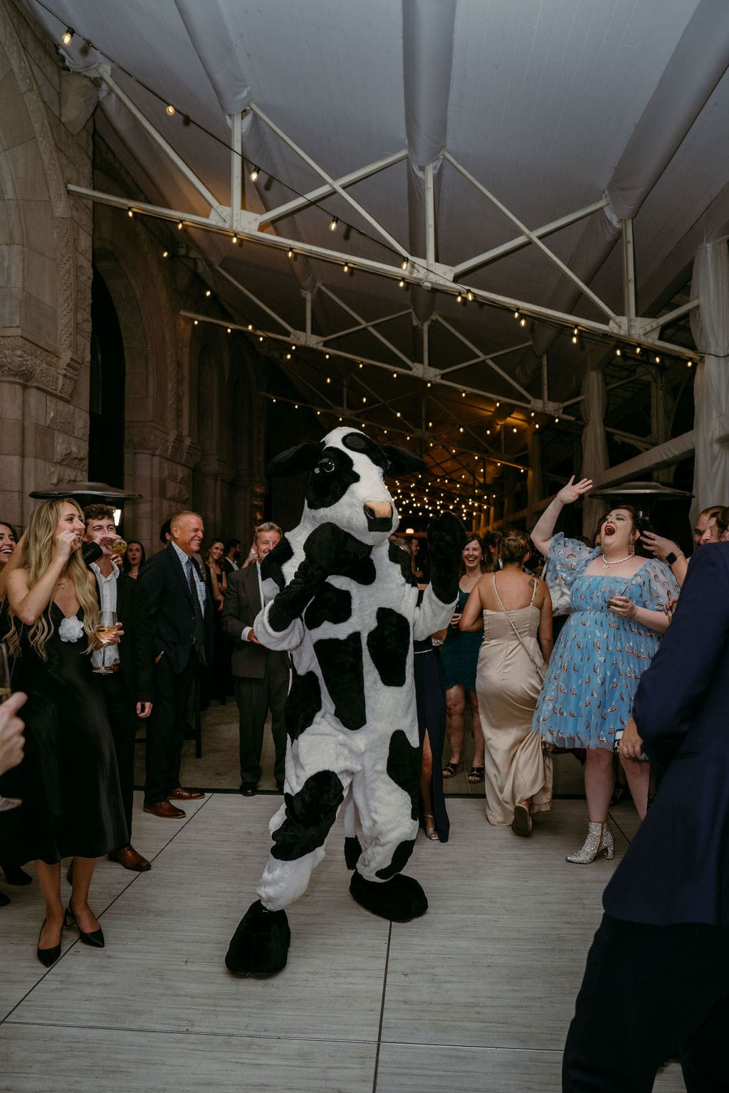 Chick-fil-a cow crashes a Nashville wedding
